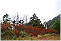 2008-1-25 am 08-16-26-230林道途中及路況.jpg
